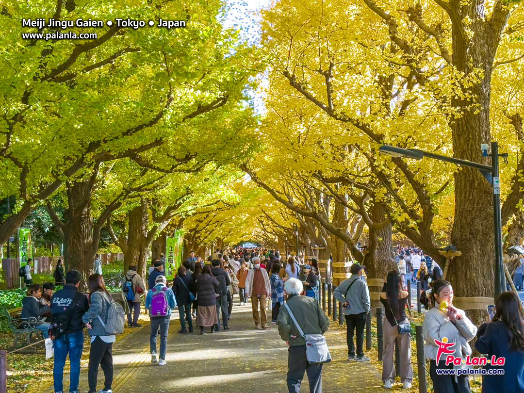 Meiji Jingu Gaien